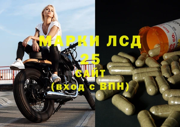 PSILOCYBIN Баксан