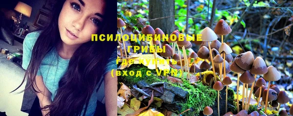 МДПВ Балабаново