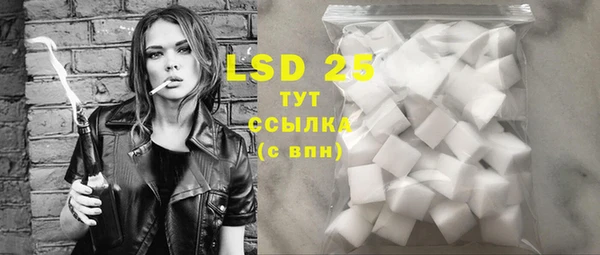 PSILOCYBIN Баксан