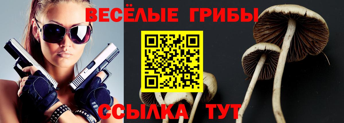Псилоцибиновые грибы прущие грибы  Галлюциногенные грибы Psilocybine cubensis  Соль-Илецк  Вход с VPN 